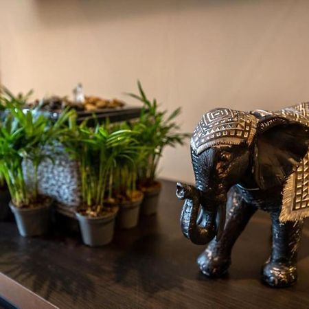 Apartment Mimoza シギショアラ エクステリア 写真