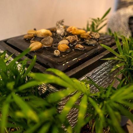 Apartment Mimoza シギショアラ エクステリア 写真