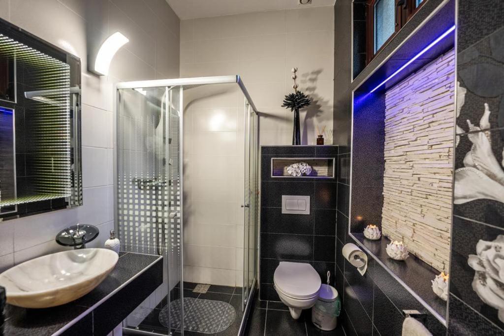 Apartment Mimoza シギショアラ エクステリア 写真